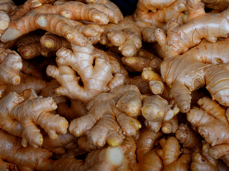 Fresh ginger roots